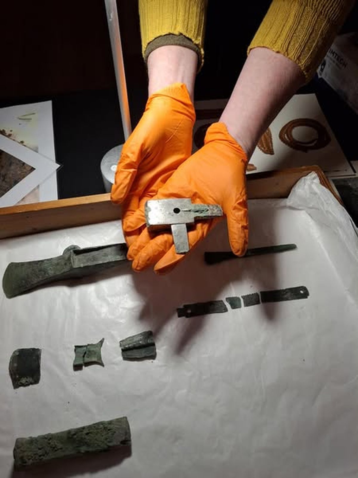 Este descubrimiento podría pasar a la colección permanente de un museo. Este descubrimiento podría pasar a la colección permanente de un museo.