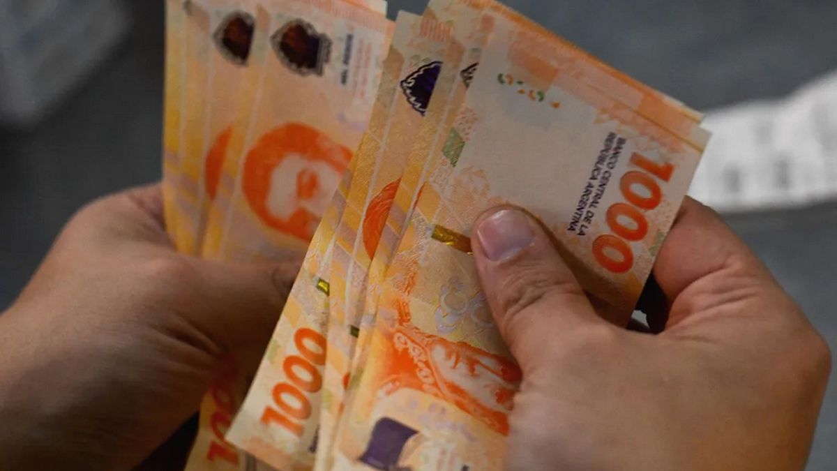 ANSES y Milei pagarán un JUGOSO REINTEGRO a titulares de AUH