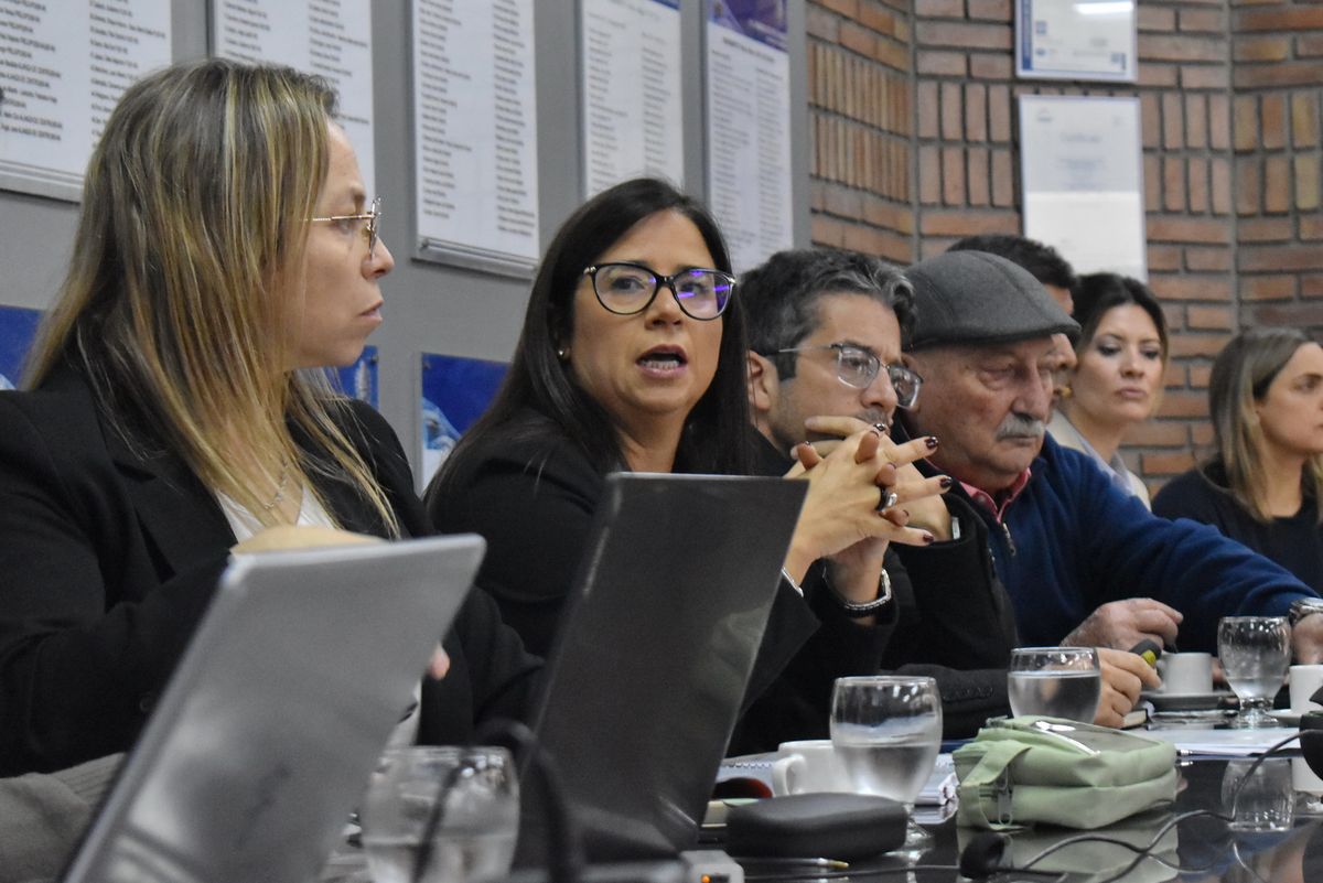 La subsecretaria Infraestructura, Marité Badui, concurrió a Diputados para explicar de qué se trata el nuevo proyecto de código de construcción unificado. La subsecretaria Infraestructura, Marité Badui, concurrió a Diputados para explicar de qué se trata el nuevo proyecto de código de construcción unificado.