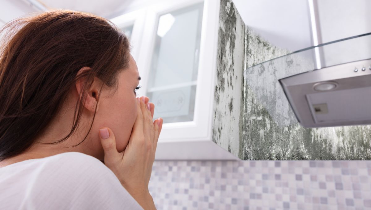 Elimina el moho del baño con esta receta casera efectiva