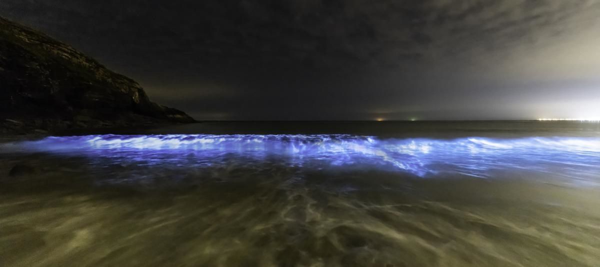 Las playas ofrecen un espectáculo mágico.