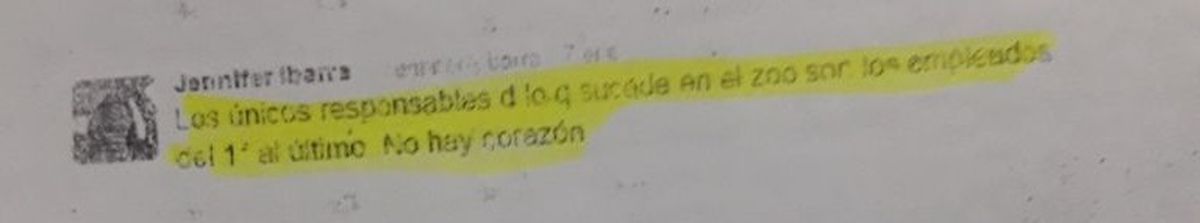 Uno de los tuits que ofendieron a los veterinarios: