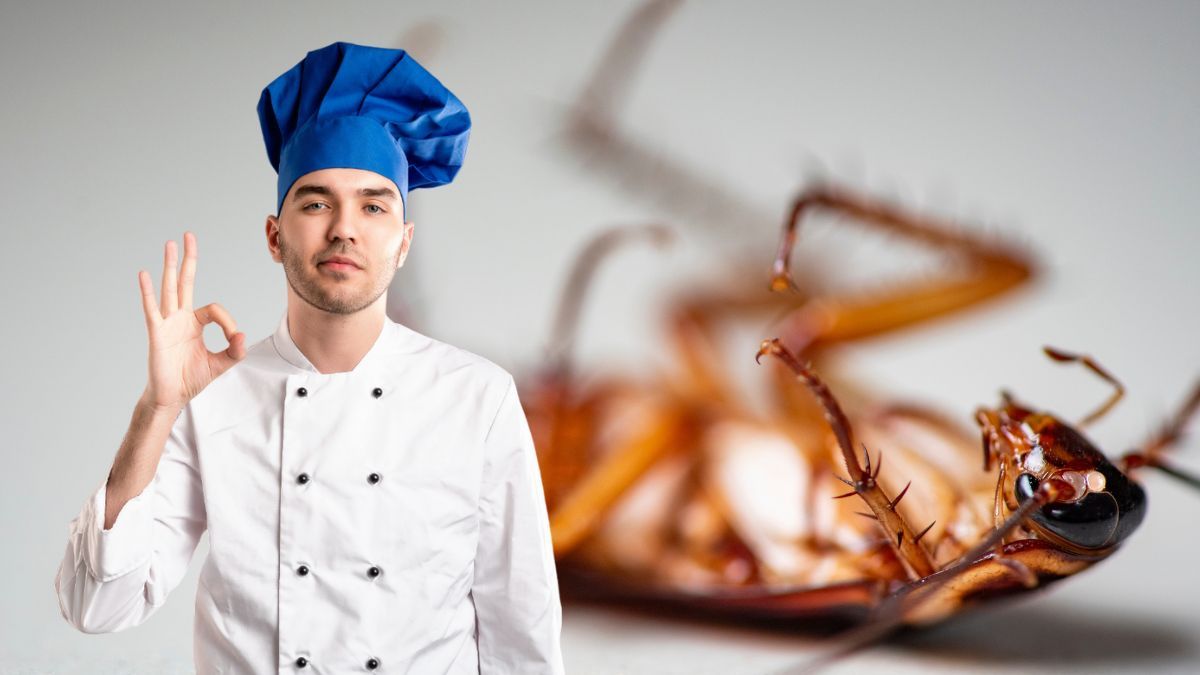 Cucarachas Cucarachas