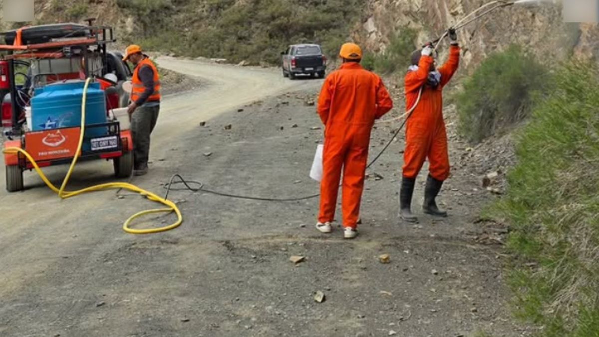 ProMontaña trabaja con fondos propios, pero necesita más ayuda. Imagen ilustrativa. ProMontaña trabaja con fondos propios, pero necesita más ayuda. Imagen ilustrativa.