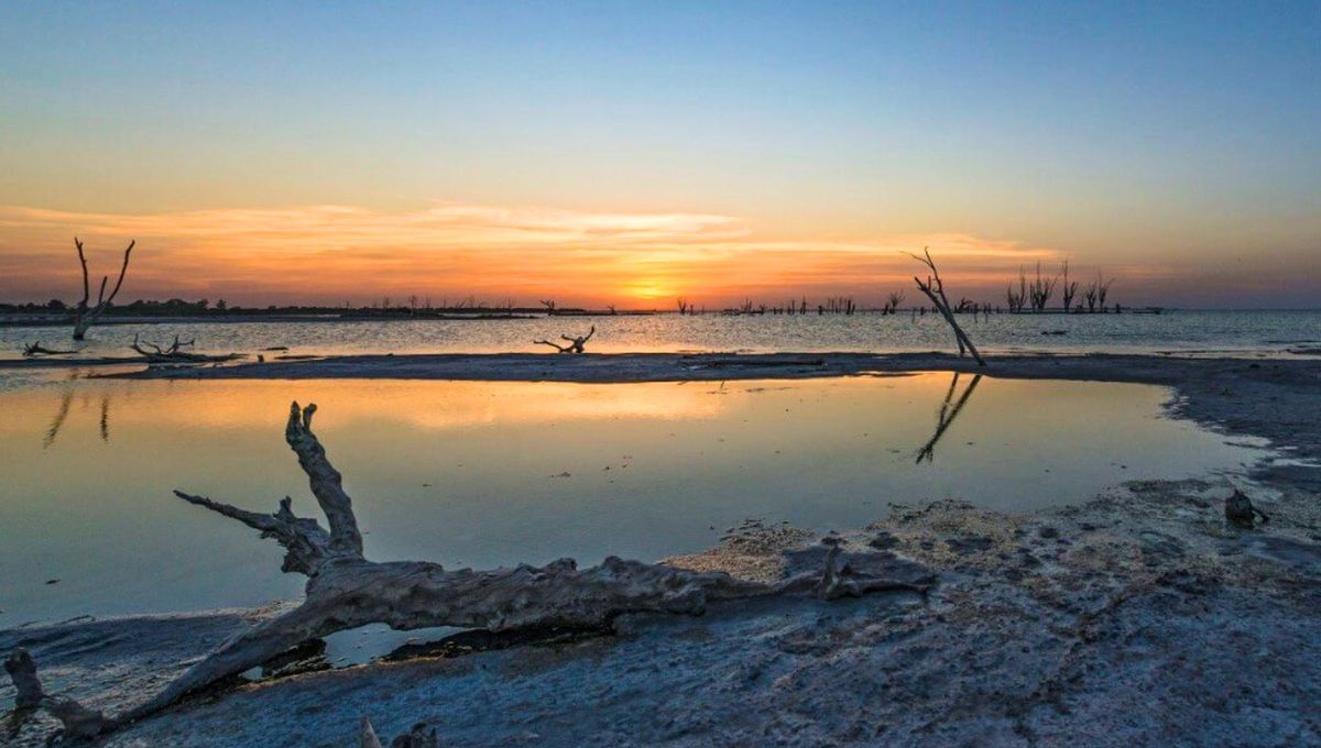 La laguna salobre más grande de Sudamérica y el quinto más grande del planeta se encuentra en Argentina