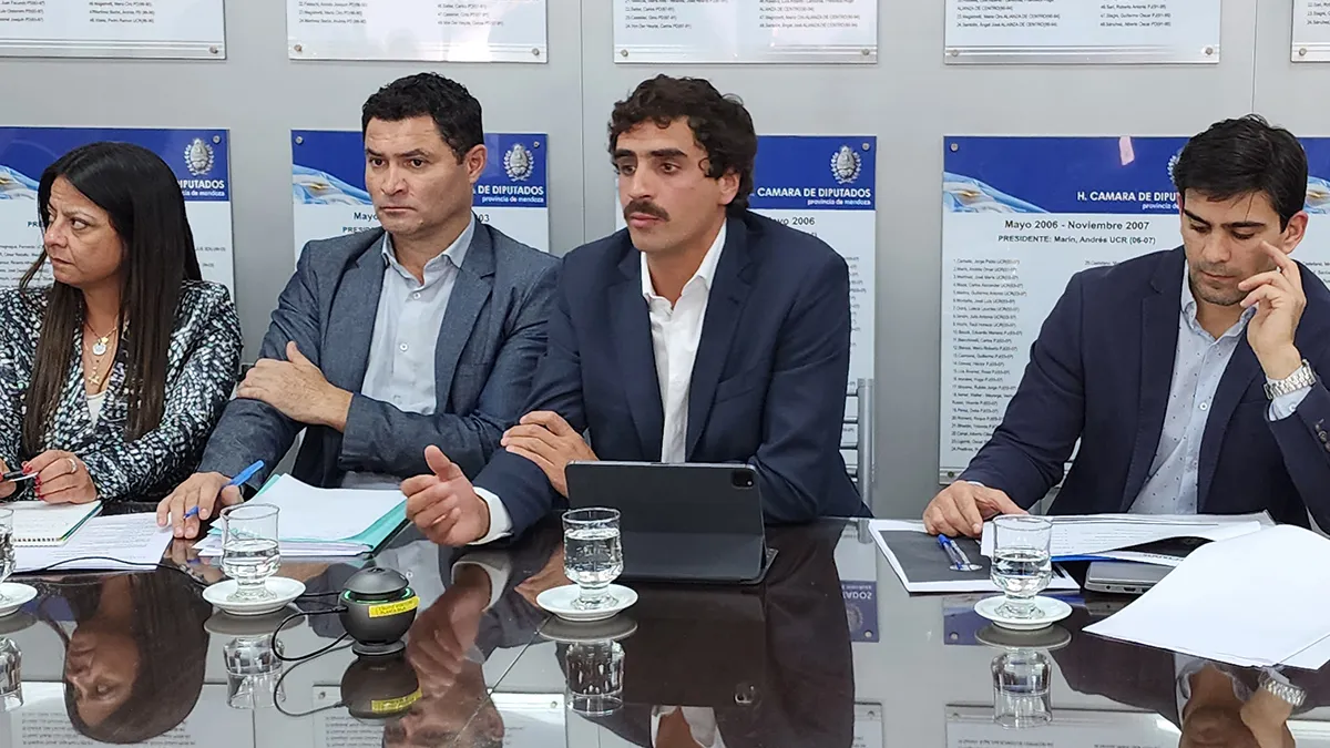 Mema expuso en la Comisión de Hacienda el pasado martes 11 de octubre. Afirmó que el mejor camino para ampliar la traza es pedir financiamiento externo.