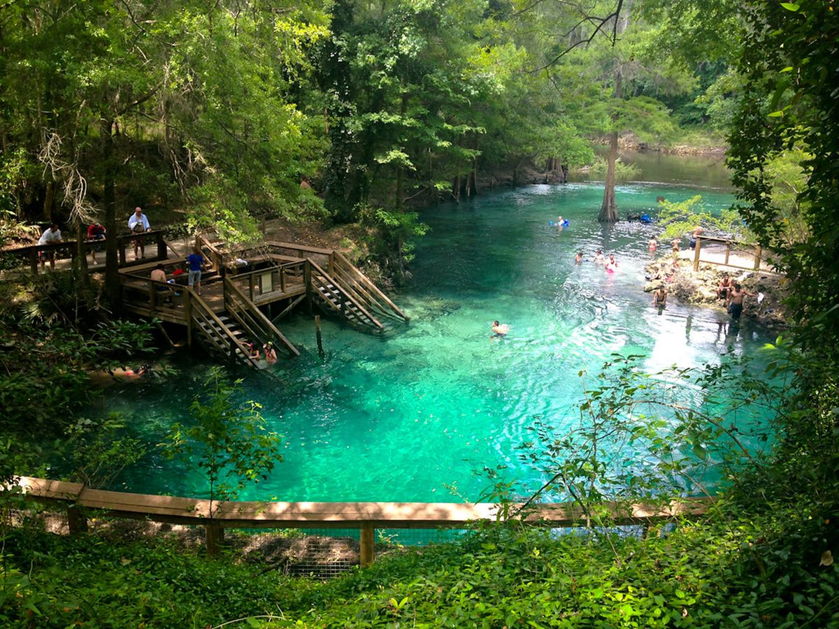 El Ellie Schiller Homosassa Springs Wildlife State Park, Madison Blue Spring compensa con su intimidad y belleza natural intacta. El Ellie Schiller Homosassa Springs Wildlife State Park, Madison Blue Spring compensa con su intimidad y belleza natural intacta.