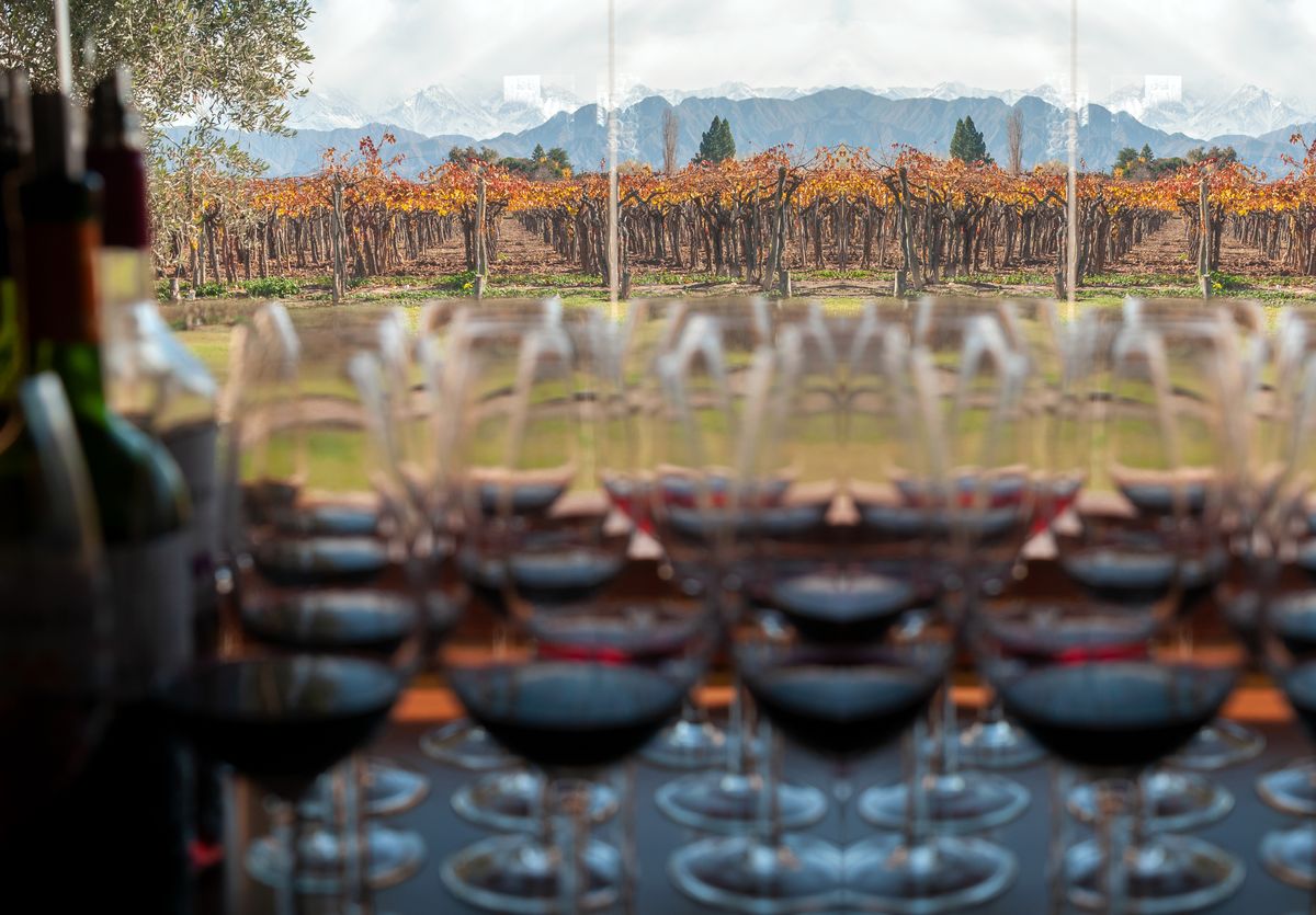 La propuesta del chileno Max Raide pasa también por potenciar el enoturismo en la región. La propuesta del chileno Max Raide pasa también por potenciar el enoturismo en la región.