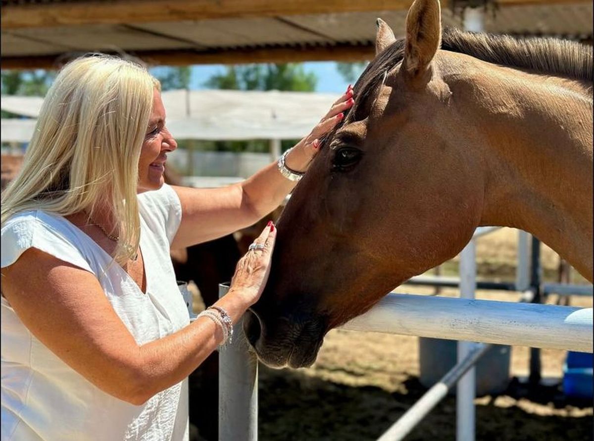 La diputadal del PRO, Lula Balsells Mir&oacute;, pretende prohibir por ley las jineteadas en Mendoza porque son una forma de maltrato animal.