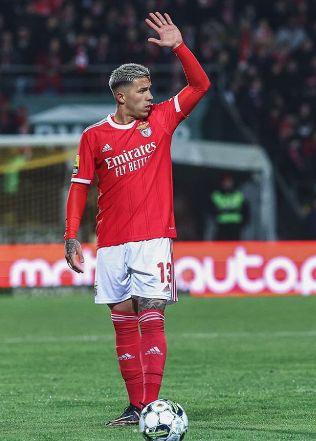 Enzo Fernández sigue en Benfica, pero el Chelsea no se resigna