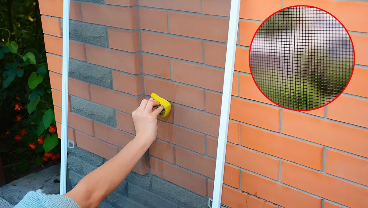 Cómo limpiar la mosquitera de la ventana usando dos ingredientes.&nbsp;