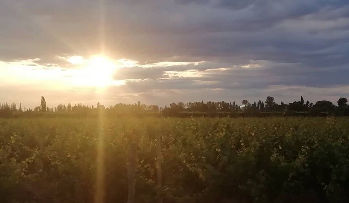 Pronóstico del tiempo: alerta por tormentas severas en Mendoza