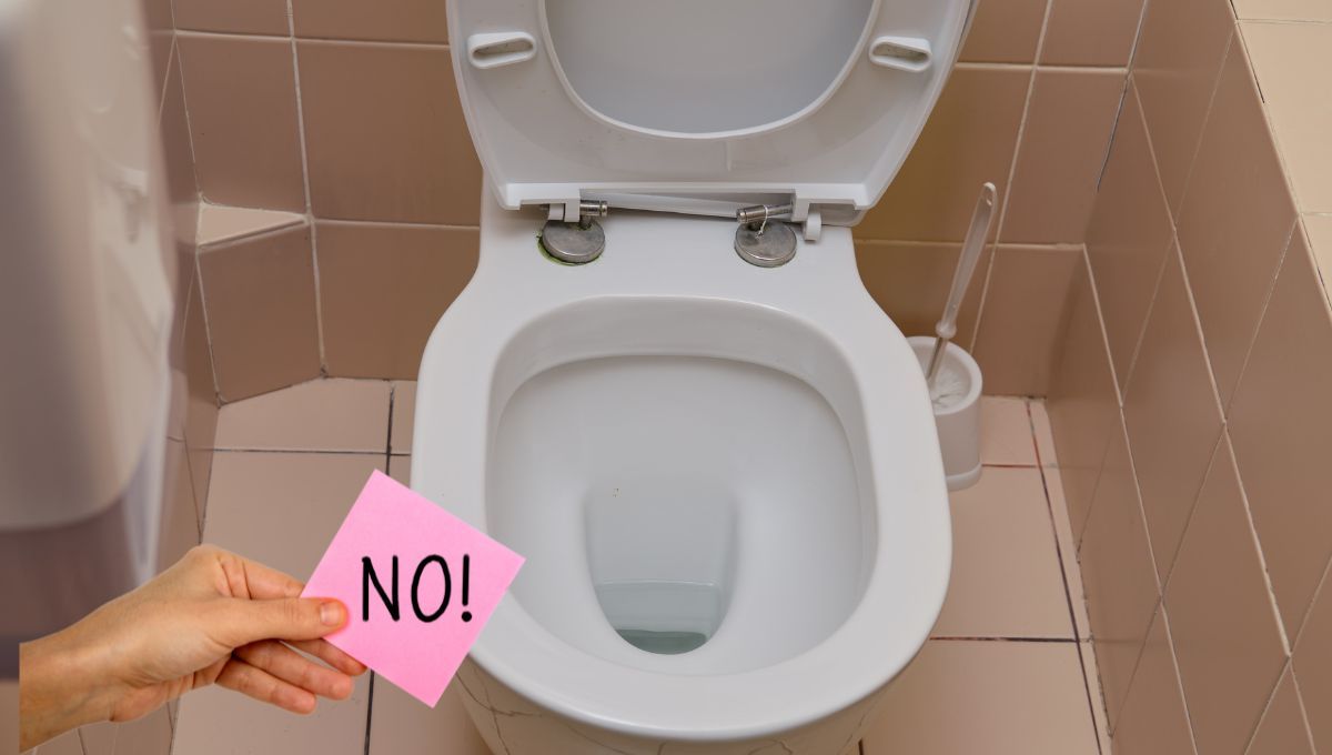 Feng shui: por qué no hay que dejar la tapa del baño levantada