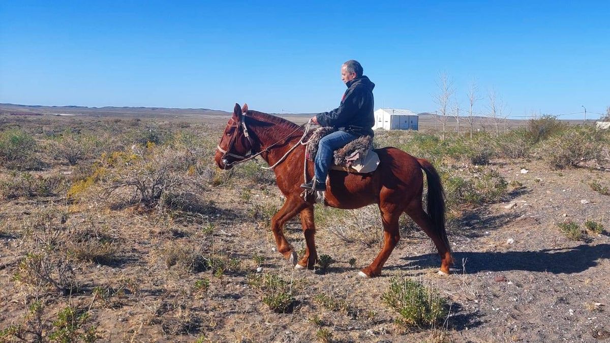 A caballo, a pie o en camioneta. A caballo, a pie o en camioneta.