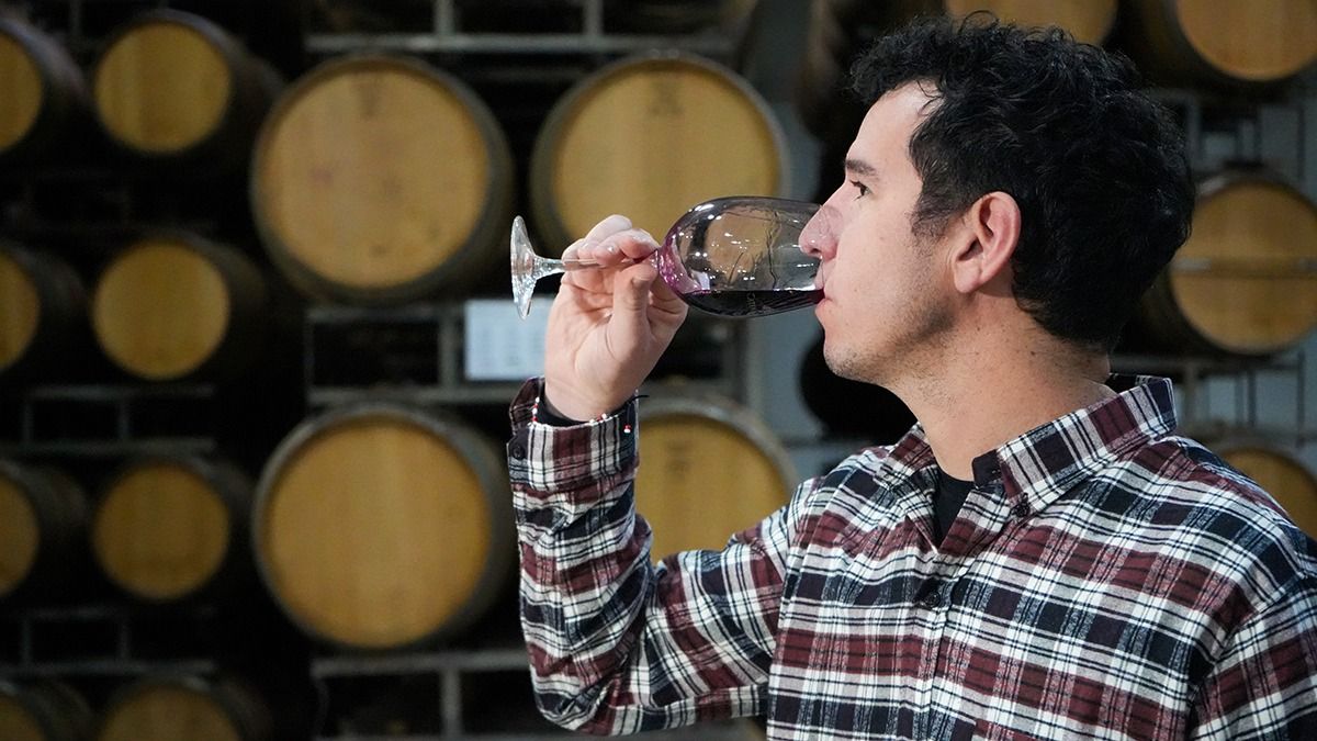 Para darle solidez científica a una investigación basada en descriptores sensoriales del malbec se utilizaron estándares internacionales Para darle solidez científica a una investigación basada en descriptores sensoriales del malbec se utilizaron estándares internacionales