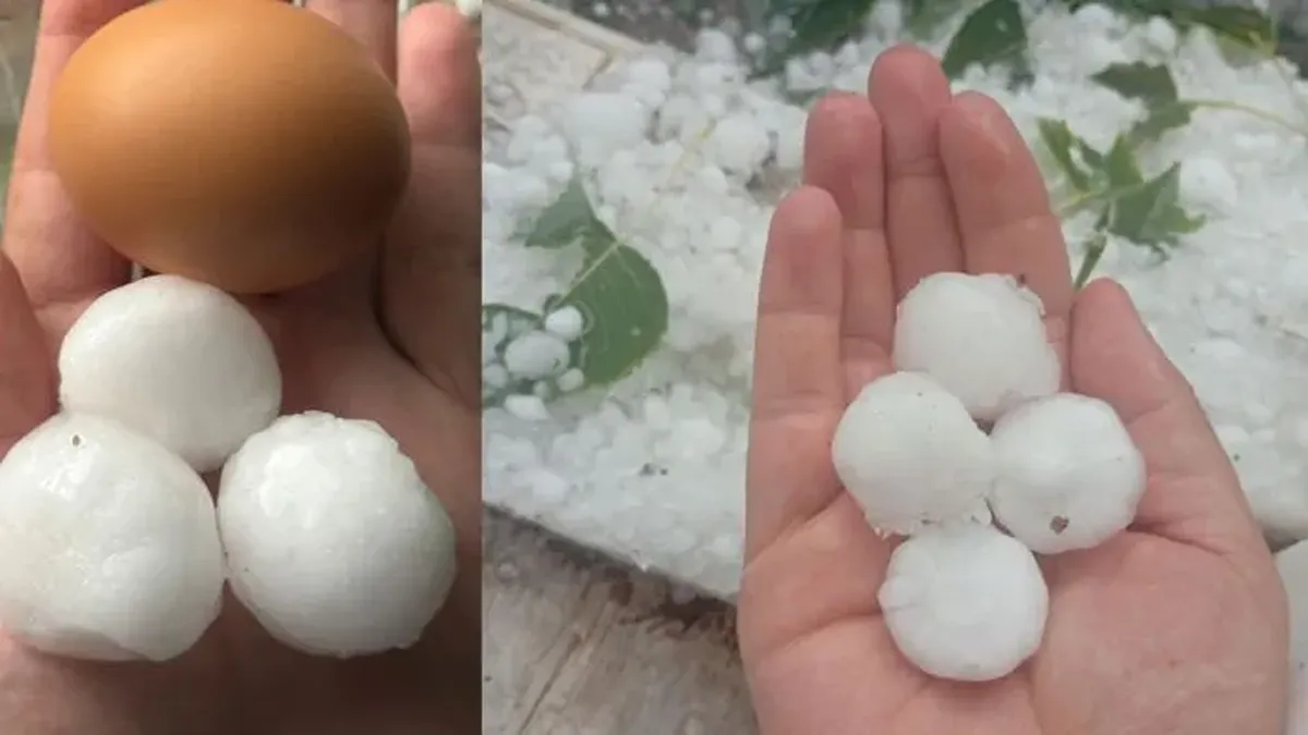 El granizo caído fue de gran tamaño, en la imagen se puede ver la comparación con un huevo. El granizo caído fue de gran tamaño, en la imagen se puede ver la comparación con un huevo.