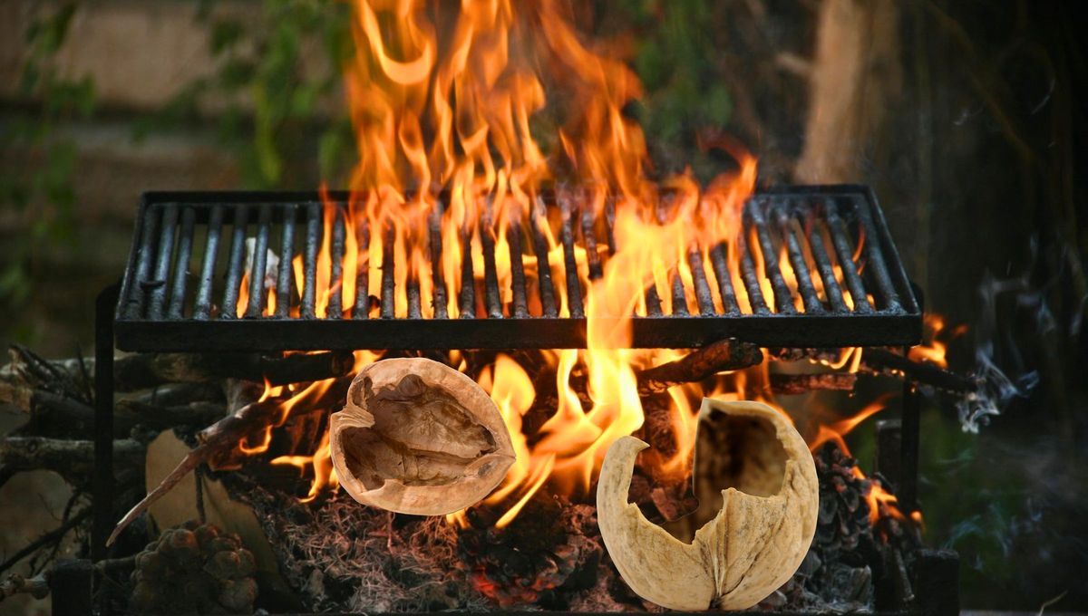 Por qué hay que poner cáscaras de nuez en el fuego del asado y para qué sirve