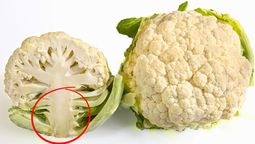 Si tenés coliflor en casa, tenés un tesoro en tus manos: cómo reutilizar su tronco Si tenés coliflor en casa, tenés un tesoro en tus manos: cómo reutilizar su tronco