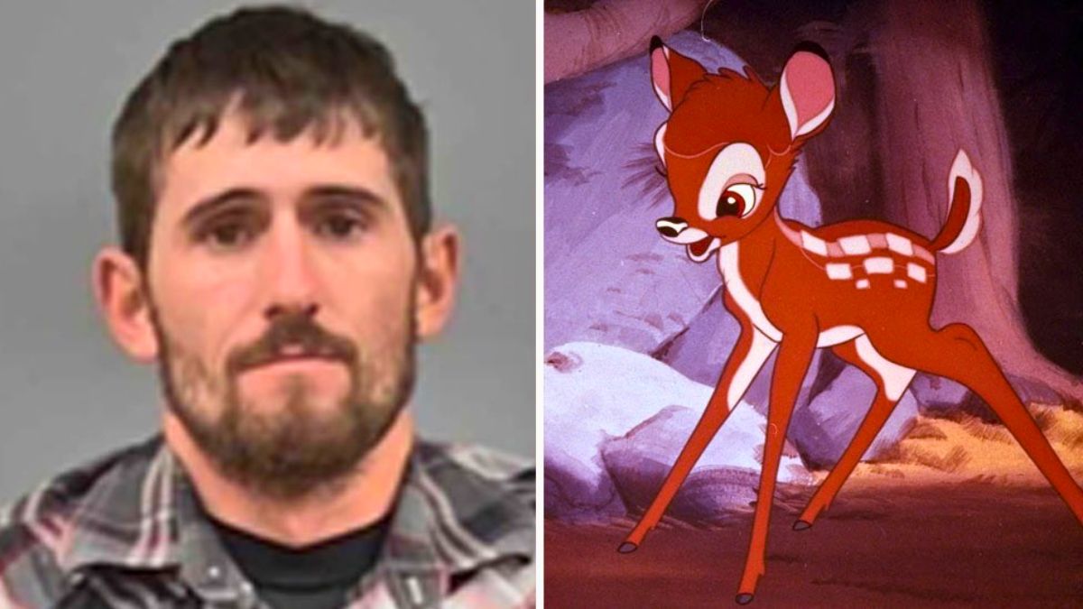Cazó más de cien ciervos y lo condenaron a ver Bambi una vez por mes