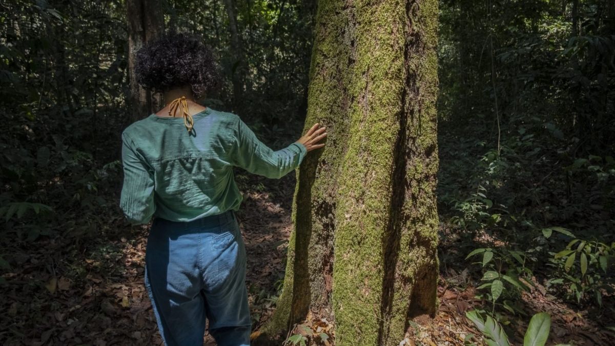 Bosque Nacional de Tapajós