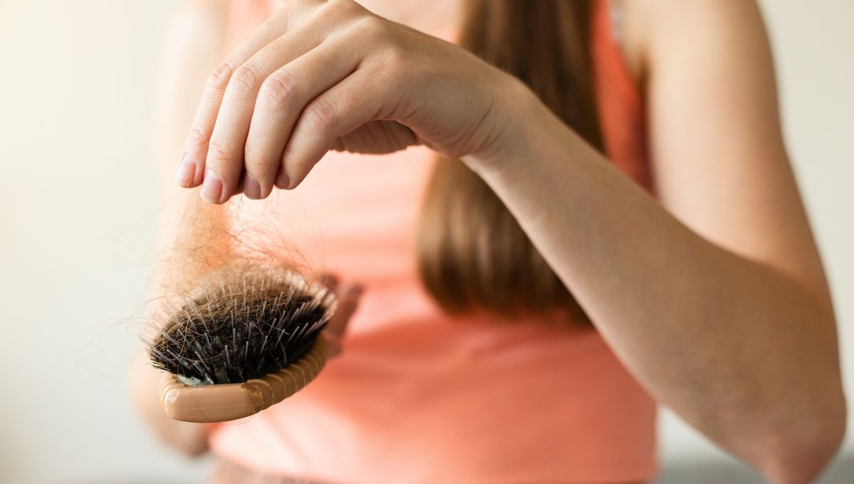 Aunque cada cabeza es un mundo, este patrón se repite bastante en personas e incluso en mascotas, que comienzan a perder más cabello en esta temporada. Aunque cada cabeza es un mundo, este patrón se repite bastante en personas e incluso en mascotas, que comienzan a perder más cabello en esta temporada.