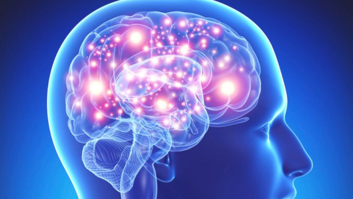 Cuidar la salud del cerebro: qué hábitos se deben tener en cuenta