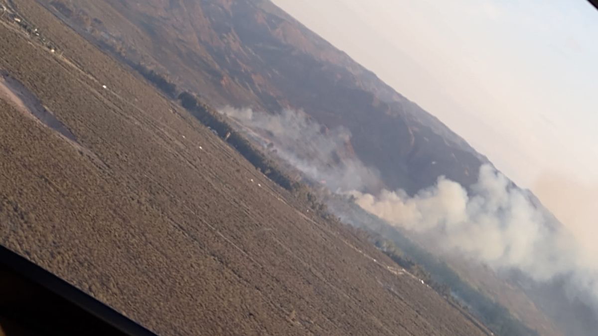 El avance del fuego fue detenido luego de que ya había consumido 700 hectáreas.