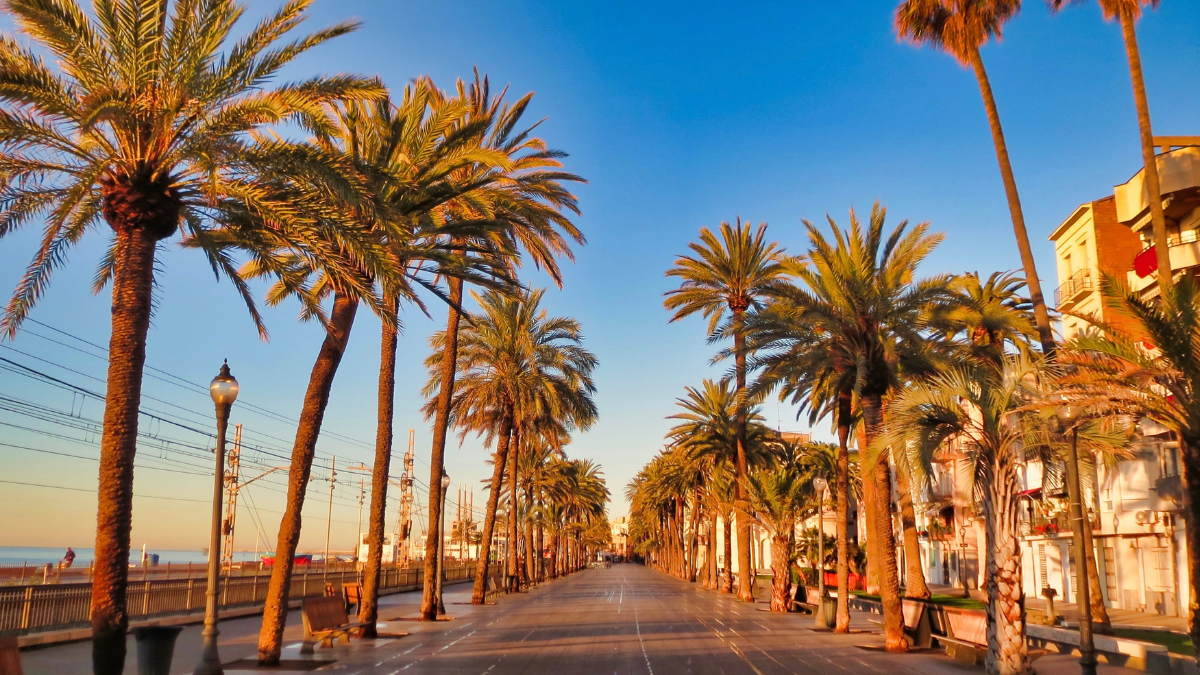 Badalona es el pueblo que fue el origen de Barcelona. 