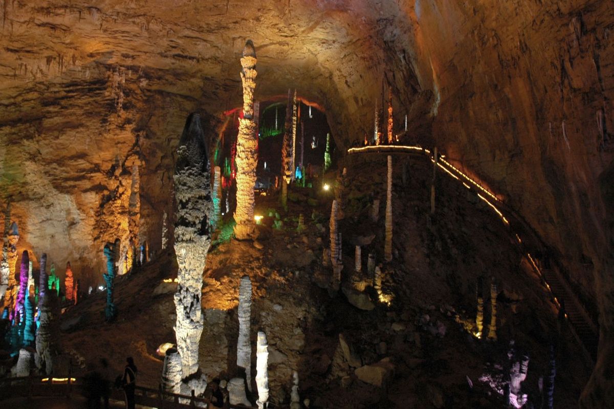 Descubrimiento en una cueva China hace historia: el gato más pequeño jamás hallado