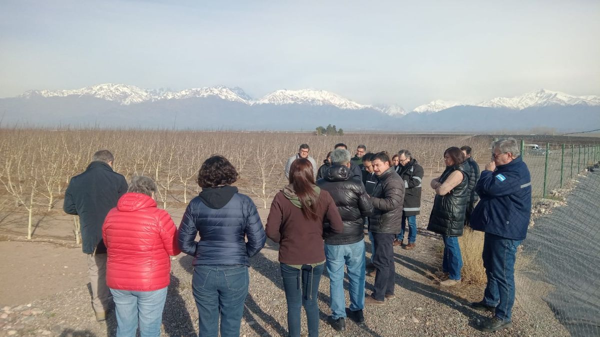 Una comitiva de China visitó fincas de frutos secos en Mendoza con la idea de exportar.&nbsp;