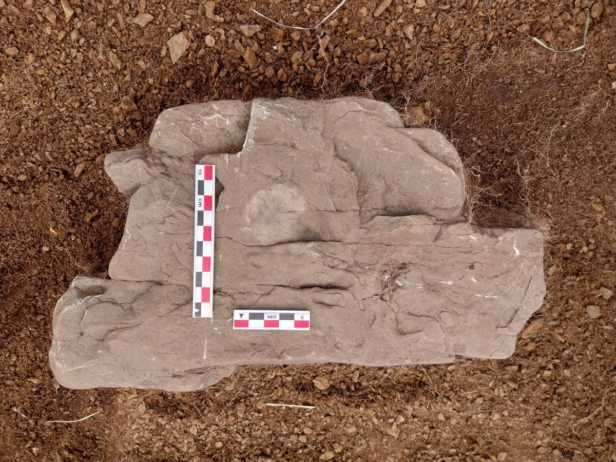 Descubrimiento en Chile sorprende al mundo: la colonia perdida de Magallanes