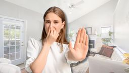 Aprendé a eliminar los malos olores de la casa, paso a paso Aprendé a eliminar los malos olores de la casa, paso a paso