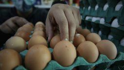 Productores culparon a los comerciantes por aumentos en el precio de los huevos