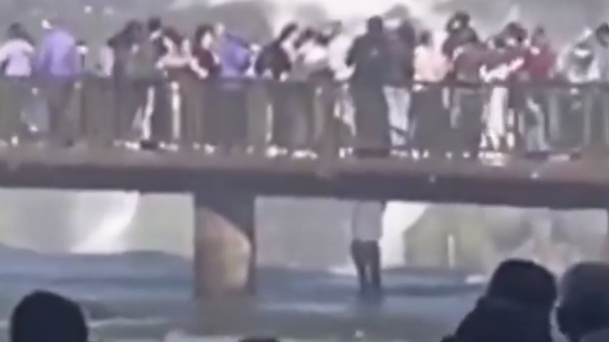 El episodio en las Cataratas del Iguazú quedó filmado por los presentes.