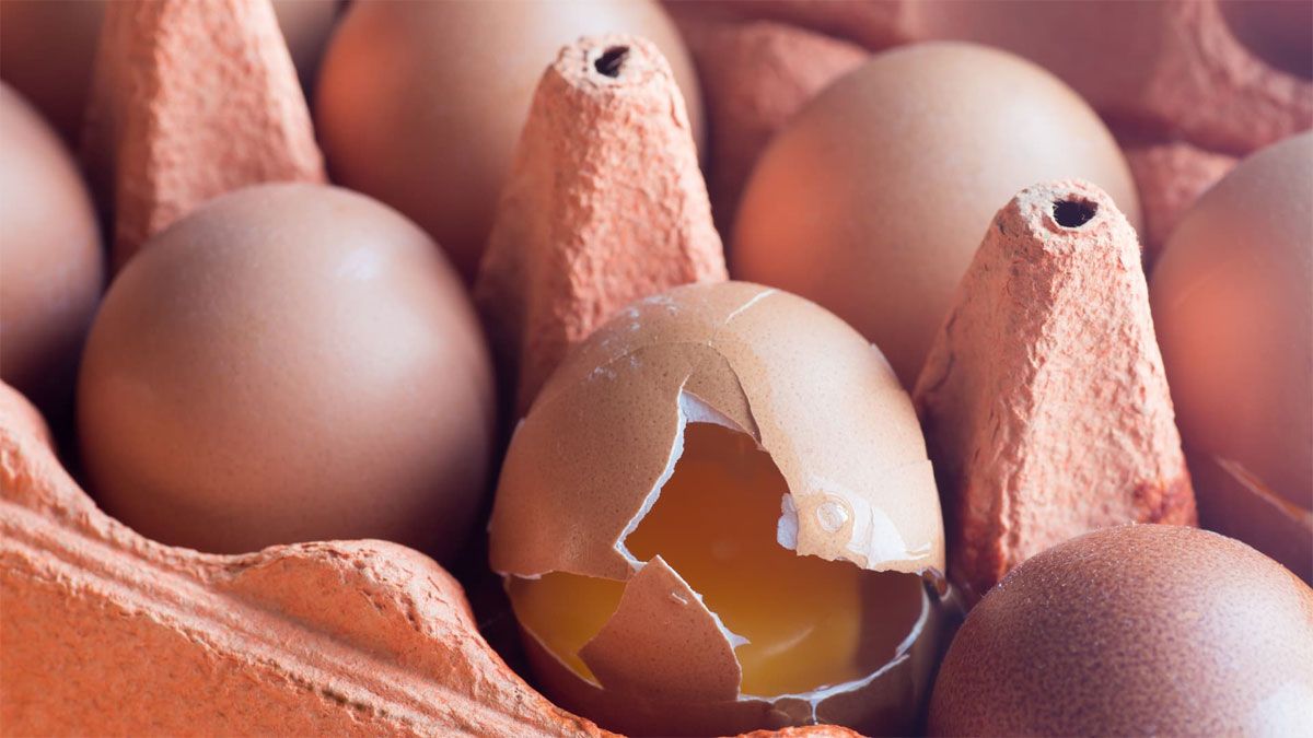 Los especialistas aseguran que hay que descartar los huevos que estén trizados, para evitar una posible contaminación.