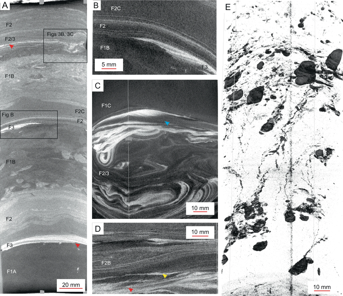 Algunas de las imágenes que llevaron al descubrimiento. Algunas de las imágenes que llevaron al descubrimiento.
