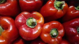 Beneficios y propiedades de comer pimientos morrones