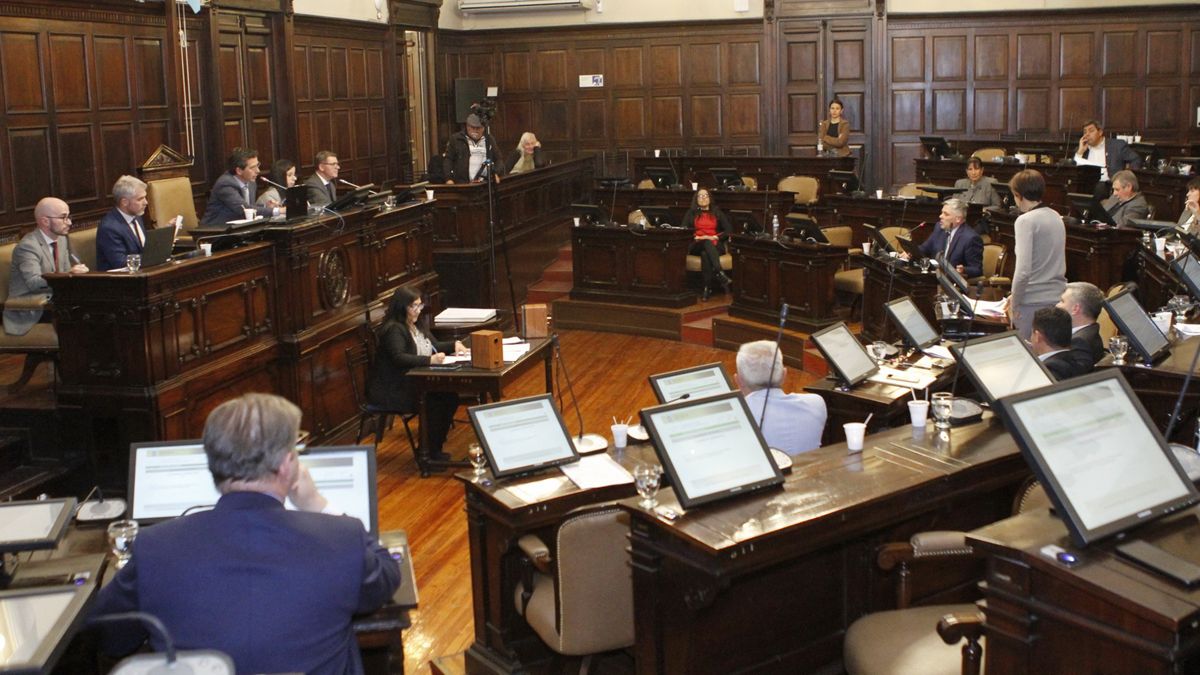Diputados le dio media sanción al proyecto de El Baqueano.