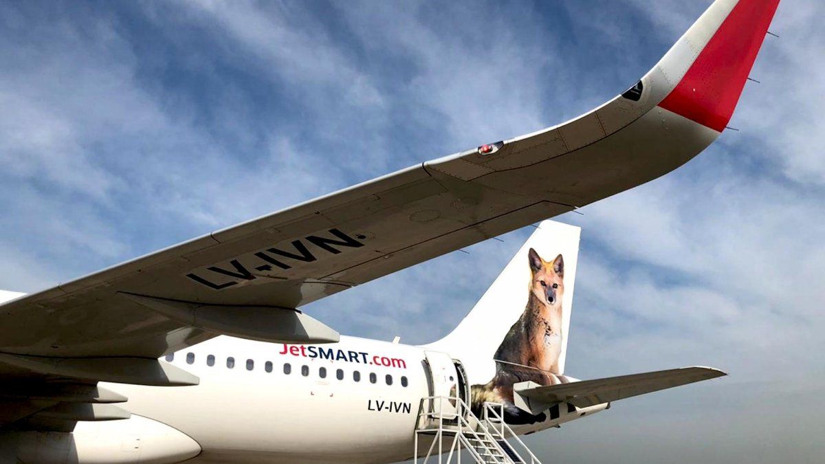 Cuenta regresiva: qué vuelos prepara Jetsmart para el reinicio de los vuelos desde Mendoza