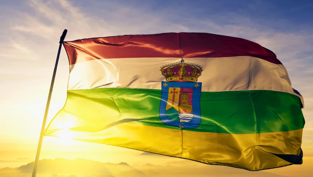 La proporción de la bandera es de 9:14. La proporción de la bandera es de 9:14. 