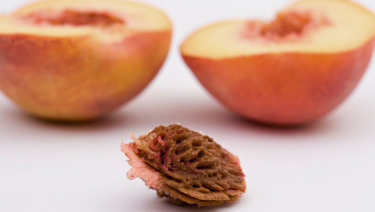 El durazno es una fruta bastante consumida.