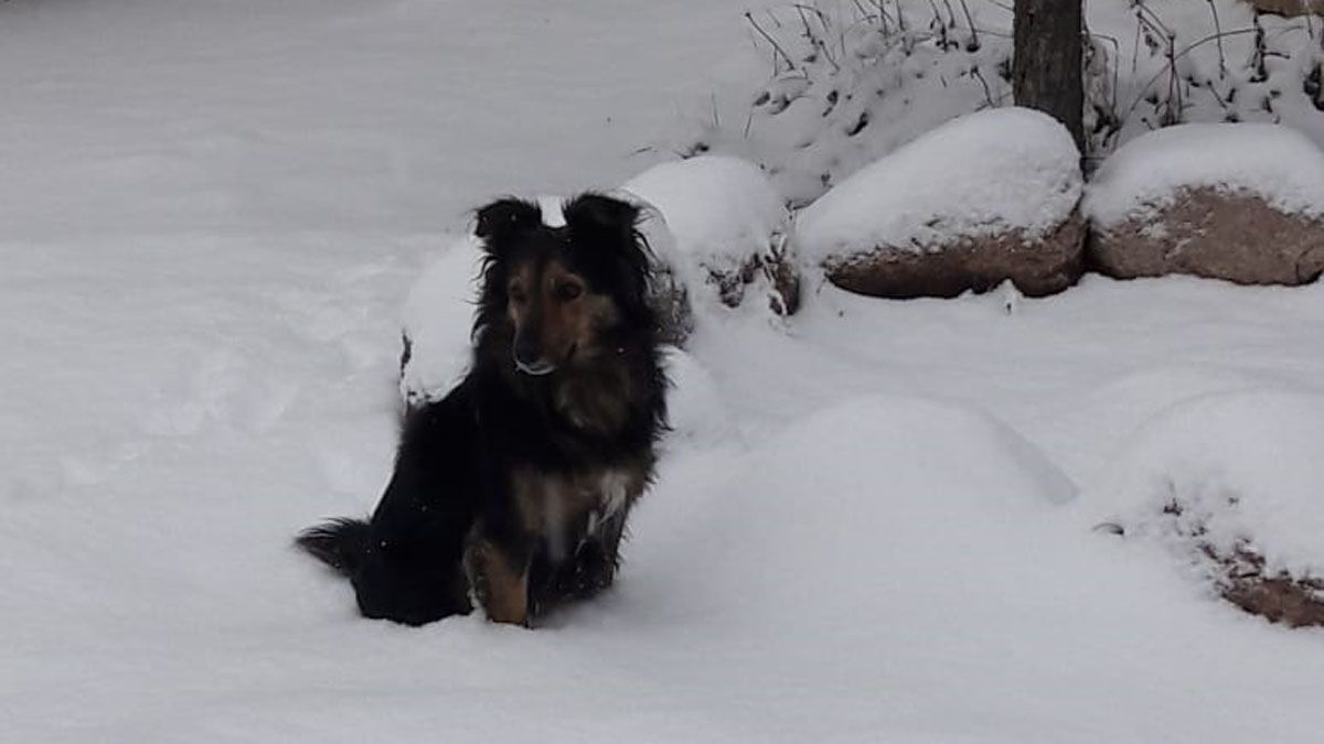 El Manzano Histórico