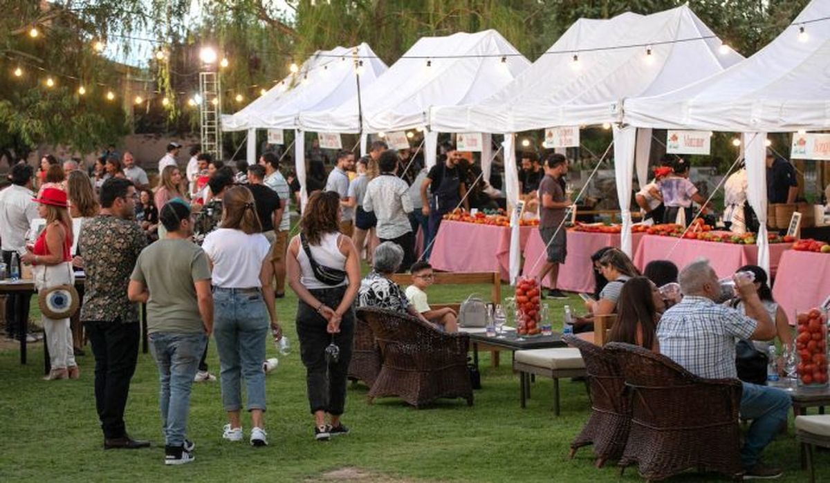 El festival se inicia en con una clínica especial que profundiza en las virtudes y los alcances del tomate y continuará con visitas a productores de la zona, y encuentros gastronómicos. El festival se inicia en con una clínica especial que profundiza en las virtudes y los alcances del tomate y continuará con visitas a productores de la zona, y encuentros gastronómicos.