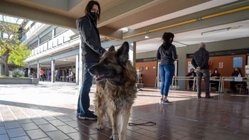 Hasta los perros fueron a votar: las fotos de las PASO 2021 