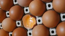 Cuántos huevos al día puedo comer