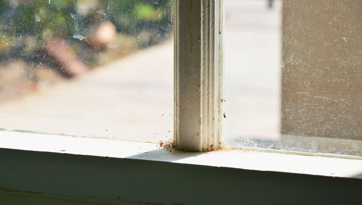 Limpia las marcas de agua y tierra de las ventanas usando unos cuantos ingredientes. Limpia las marcas de agua y tierra de las ventanas usando unos cuantos ingredientes.