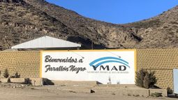 Yacimientos Mineros Agua de Dionisio (YMAD).