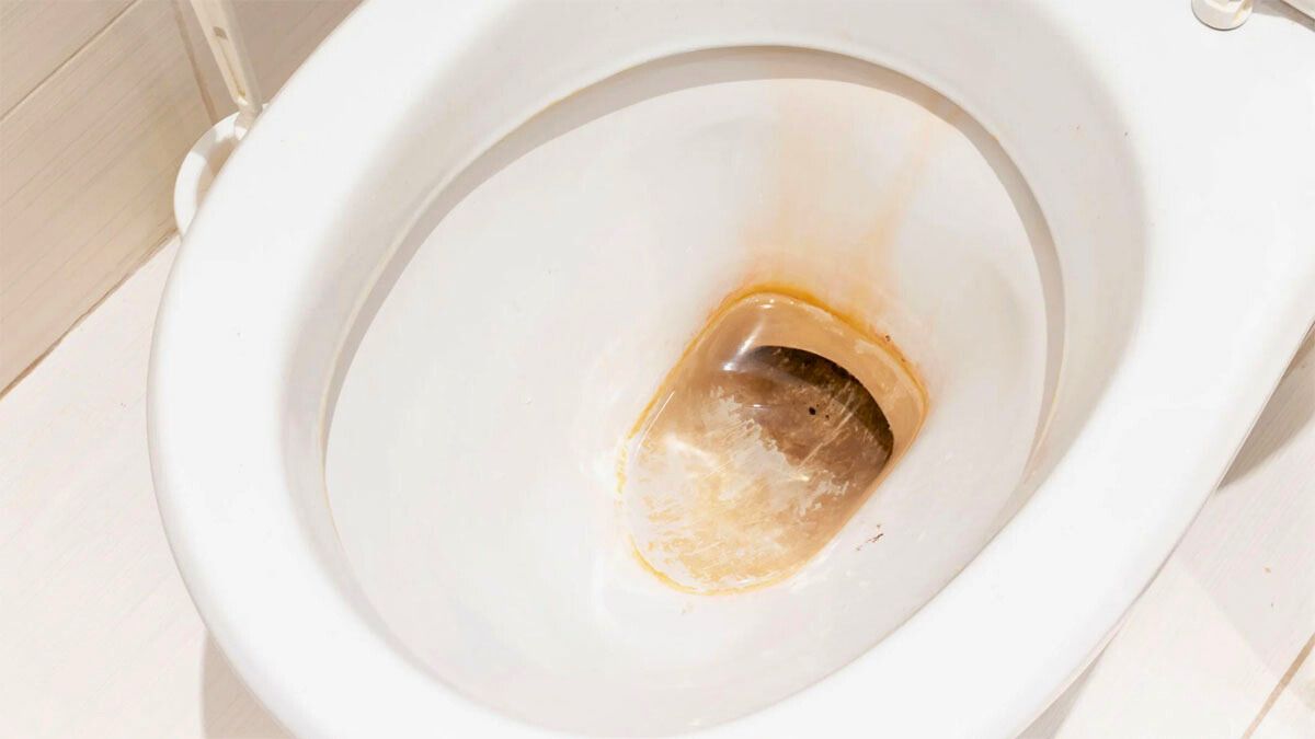Limpiar el inodoro garantiza una buena higiene y mantiene bien limpio y con buen aspecto el baño.