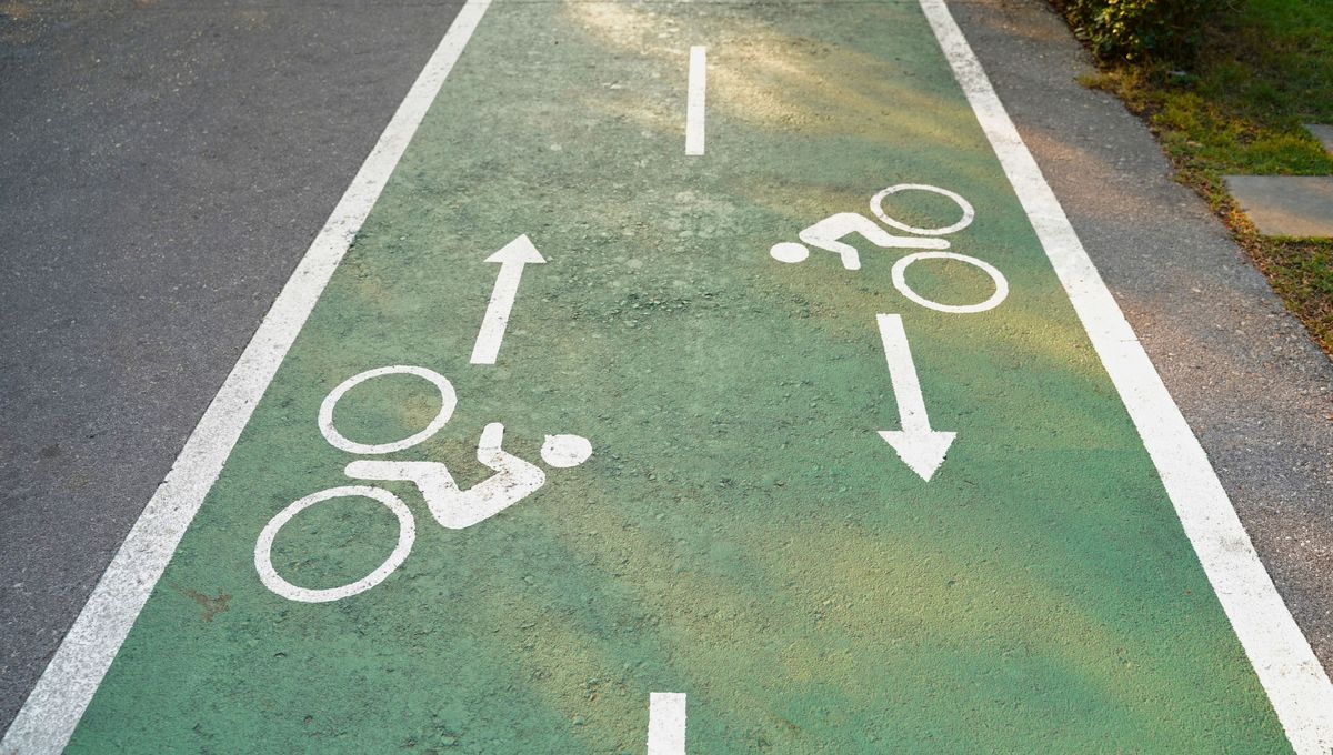 Diferencias principales entre las bicisendas y las ciclovías.&nbsp;