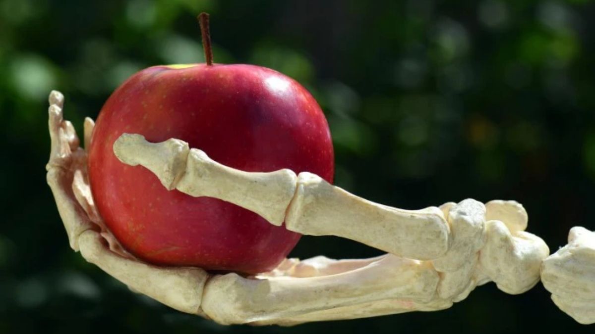 Foto: Pixabay Foto: Pixabay